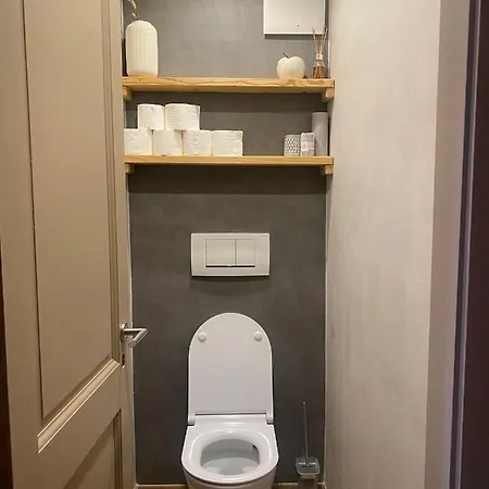 Tout Confort Apartment *